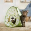 Frisco Spring Daisy Pop-Up Tent Cat Toy With Catnip 1 Frisco Spring Daisy Pop-Up Tent Cat Toy With Catnip -Pawfect Care 541574 MAIN. AC SS1800 V1671814454