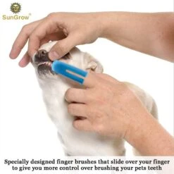 SunGrow Dog & Cat Stick & Finger Toothbrush Kit, Dental Care For Your Pets, Suitable For Ferrets, 3 Count -Pawfect Care 541622 PT2. AC SS1800 V1671025883