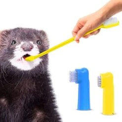 SunGrow Dog & Cat Stick & Finger Toothbrush Kit, Dental Care For Your Pets, Suitable For Ferrets, 3 Count -Pawfect Care 541622 PT3. AC SS1800 V1671025883