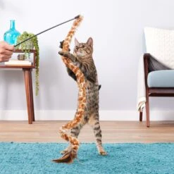 KONG Swizzle Bird Cat Teaser, Color Varies -Pawfect Care 54924 PT4. AC SS1800 V1545170365