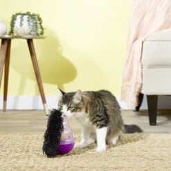 KONG Cat Wobbler Treat Dispenser -Pawfect Care 54926 PT4. AC SS1800 V1545170374