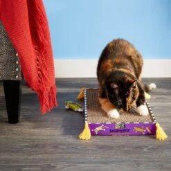 Fat Cat Big Mama's Cat Scratcher Toy With Catnip -Pawfect Care 54941 PT8. AC SS1800 V1497022690