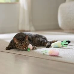 Frisco Easter Carrot Plush Cat Toy With Catnip -Pawfect Care 550470 PT4. AC SS1800 V1702500564