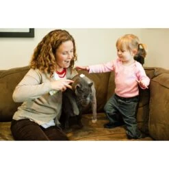 Earthbath Hypo-Allergenic Grooming Foam For Cats -Pawfect Care 55429 PT4. AC SS1800 V1622473674