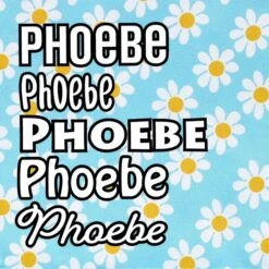 Frisco Personalized Blue Daisy Bandana -Pawfect Care 555206 PT4. AC SS1800 V1669839927