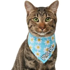 Frisco Personalized Blue Daisy Bandana -Pawfect Care 555206 PT6. AC SS1800 V1669839922