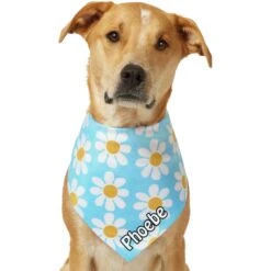 Frisco Personalized Blue Daisy Bandana -Pawfect Care 555206 PT7. AC SS1800 V1669839925