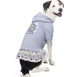 Frisco Stay Wild Dog & Cat Hoodie -Pawfect Care 555366 PT3. AC SS1800 V1674829142