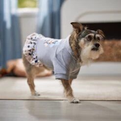 Frisco Stay Wild Dog & Cat Hoodie -Pawfect Care 555366 PT6. AC SS1800 V1674829061