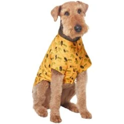 Frisco Safari Zebra Dog & Cat Shirt -Pawfect Care 555566 PT3. AC SS1800 V1675103172