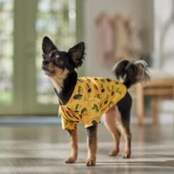 Frisco Safari Zebra Dog & Cat Shirt -Pawfect Care 555566 PT7. AC SS1800 V1675099388