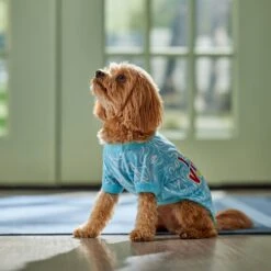 Frisco I Need Vitamin Sea Dog & Cat T-Shirt -Pawfect Care 556062 PT5. AC SS1800 V1674829136