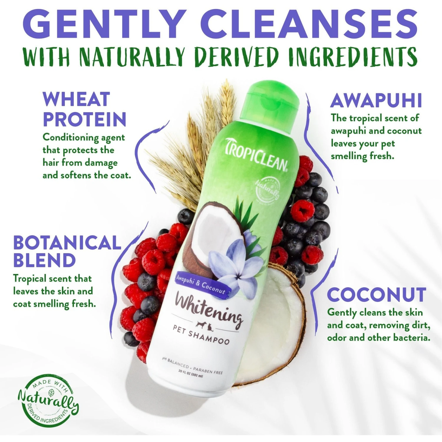 TropiClean Whitening Awapuhi & Coconut Shampoo 5 TropiClean Whitening Awapuhi & Coconut Shampoo - Image 3