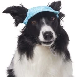 Frisco Blue Ocean Waves 30 + UPF Dog & Cat Beach Cap -Pawfect Care 556182 PT3. AC SS1800 V1677530963