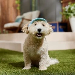 Frisco Blue Ocean Waves 30 + UPF Dog & Cat Beach Cap -Pawfect Care 556182 PT5. AC SS1800 V1675714092