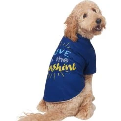 Frisco I Live In The Sunshine Dog & Cat T-Shirt -Pawfect Care 556222 PT3. AC SS1800 V1674829145