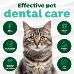 TropiClean Fresh Breath Oral Care Clean Teeth Cat Dental Gel -Pawfect Care 55635 PT4. AC SS1800 V1698959862
