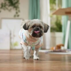 Frisco Vintage Tropical Dog & Cat Pocket T-Shirt -Pawfect Care 556598 PT5. AC SS1800 V1675101997