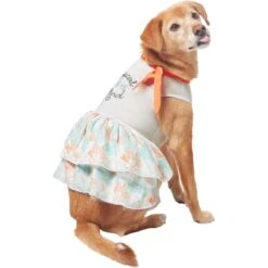 Frisco Tropical State Of Mind Dog & Cat Dress -Pawfect Care 556742 PT3. AC SS1800 V1675103177