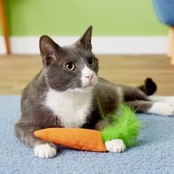 OurPets Catnip 24 Karat Cat Toy -Pawfect Care 55678 PT8. AC SS1800 V1503351353