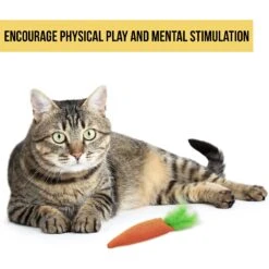 OurPets Catnip 24 Karat Cat Toy -Pawfect Care 55678 Pt2. AC SS1800 V1583765035