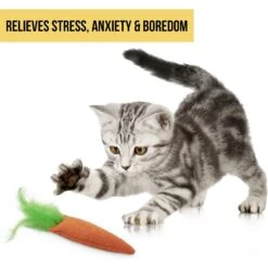 OurPets Catnip 24 Karat Cat Toy -Pawfect Care 55678 Pt6. AC SS1800 V1583765041