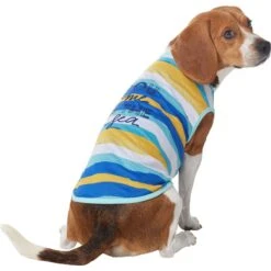 Frisco You Me & The Sea Dog & Cat T-Shirt -Pawfect Care 556814 PT3. AC SS1800 V1675103178