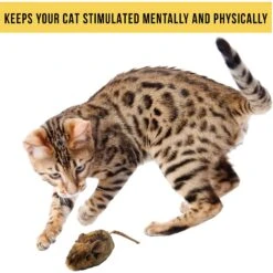 Pet Zone Play-N-Squeak MouseHunter Cat Toy With Catnip -Pawfect Care 55741 Pt5. AC SS1800 V1583765276