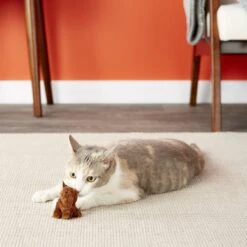 OurPets Backyard Squeaking Bunny Cat Toy -Pawfect Care 55742 PT5. AC SS1800 V1527256080