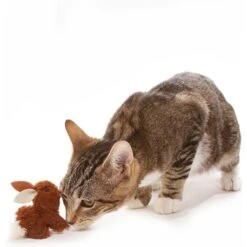 OurPets Backyard Squeaking Bunny Cat Toy -Pawfect Care 55742 PT8. AC SS1800 V1526316422