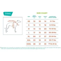 Frisco Personalized Basic Dog & Cat T-Shirt -Pawfect Care 557438 PT1. AC SS1800 V1662740933