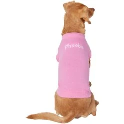 Frisco Personalized Basic Dog & Cat T-Shirt -Pawfect Care 557438 PT2. AC SS1800 V1662738086