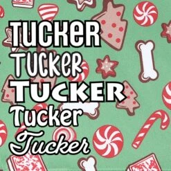 Frisco Gingerbread Treats Personalized Dog & Cat Bandana -Pawfect Care 564502 PT4. AC SS1800 V1660250970