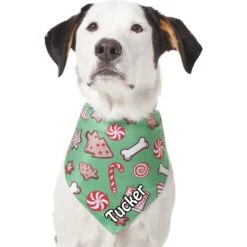 Frisco Gingerbread Treats Personalized Dog & Cat Bandana -Pawfect Care 564502 PT6. AC SS1800 V1660405305