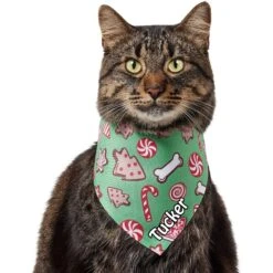 Frisco Gingerbread Treats Personalized Dog & Cat Bandana -Pawfect Care 564502 PT7. AC SS1800 V1660251028