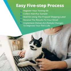 5Strands Health Test For Dog, Cat & Small Pet -Pawfect Care 565542 PT3. AC SS1800 V1691007688