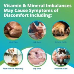 5Strands Nutrition Imbalance Test For Dog, Cat & Small Pet 11 5Strands Nutrition Imbalance Test For Dog, Cat & Small Pet -Pawfect Care 565606 PT2. AC SS1800 V1691007626