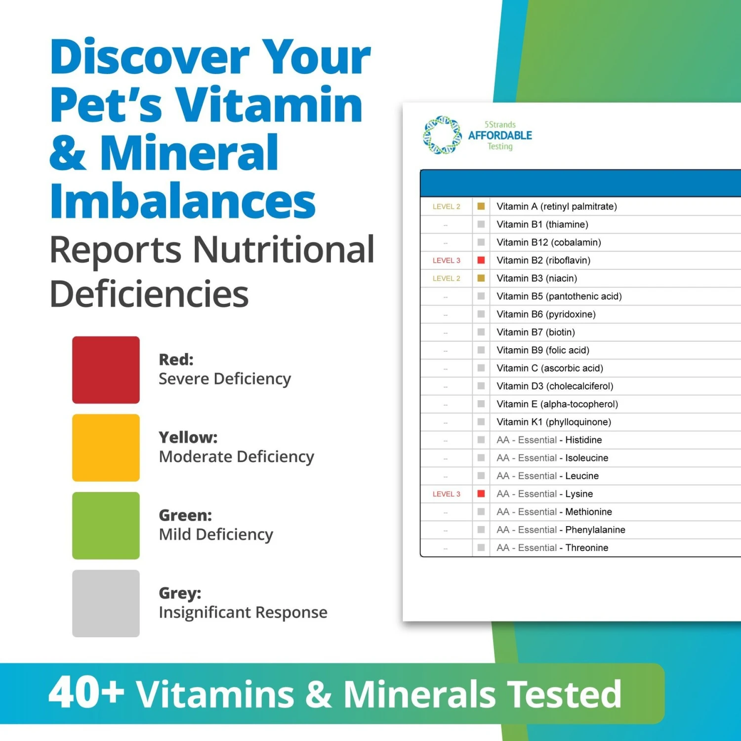 5Strands Nutrition Imbalance Test For Dog, Cat & Small Pet 7 5Strands Nutrition Imbalance Test For Dog, Cat & Small Pet - Image 5