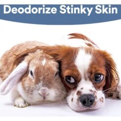 SkinSmart Antimicrobial Skin & Wound Care Cat & Dog Spray, 8-oz Bottle -Pawfect Care 567782 PT3. AC SS1800 V1658226516