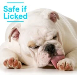 SkinSmart Antimicrobial Skin & Wound Care Cat & Dog Spray, 8-oz Bottle -Pawfect Care 567782 PT4. AC SS1800 V1658227833