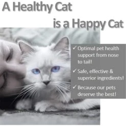 Vet Worthy Hairball Control Salmon Flavored Feline Paw Gels For Adult Cats -Pawfect Care 574574 PT5. AC SS1800 V1658436429