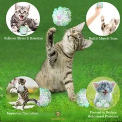 SunGrow Entertainment Clear Mylar Indoor Cat & Ferret Crinkle Balls & Chase Toy, 2-in, 12 Count 11 SunGrow Entertainment Clear Mylar Indoor Cat & Ferret Crinkle Balls & Chase Toy, 2-in, 12 Count -Pawfect Care 575422 PT3. AC SS1800 V1675971614