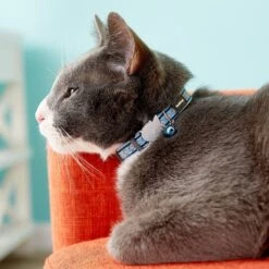 Red Dingo Nylon Reflective Breakaway Cat Collar With Bell -Pawfect Care 57577 PT2. AC SS1800 V1684885607