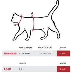 Red Dingo Classic Nylon Cat Harness & Leash -Pawfect Care 57597 PT4. AC SS1800 V1703091390