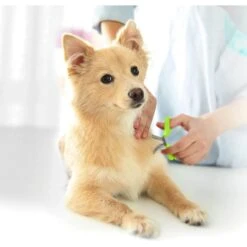 ConairPROPET Dog Rounded-Tip Shears -Pawfect Care 58158 PT4. AC SS1800 V1684172426