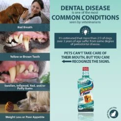 Dental Fresh Original Formula Dog & Cat Dental Water Additive 11 Dental Fresh Original Formula Dog & Cat Dental Water Additive -Pawfect Care 58612 PT3. AC SS1800 V1639090924