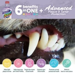 Dental Fresh Advanced Plaque & Tartar Dog & Cat Dental Water Additive 10 Dental Fresh Advanced Plaque & Tartar Dog & Cat Dental Water Additive -Pawfect Care 58614 PT2. AC SS1800 V1678485384