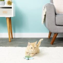 KONG Refillable Turtle Catnip Cat Toy -Pawfect Care 59302 PT5. AC SS1800 V1603162890