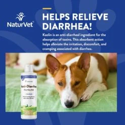 NaturVet Homeopathic Medicine For Digestive Issues & Diarrhea For Cats & Dogs 12 NaturVet Homeopathic Medicine For Digestive Issues & Diarrhea For Cats & Dogs -Pawfect Care 60296 PT3. AC SS1800 V1698693235