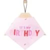 Frisco Dog & Cat Birthday Bandana -Pawfect Care 608206 MAIN. AC SS1800 V1676643308